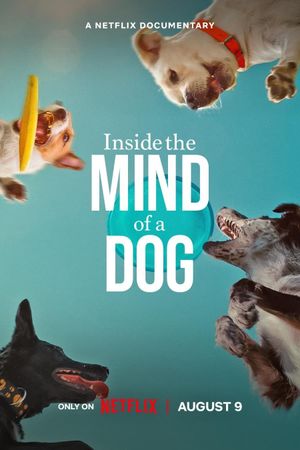 Affiche du documentaire Caractère de chiens